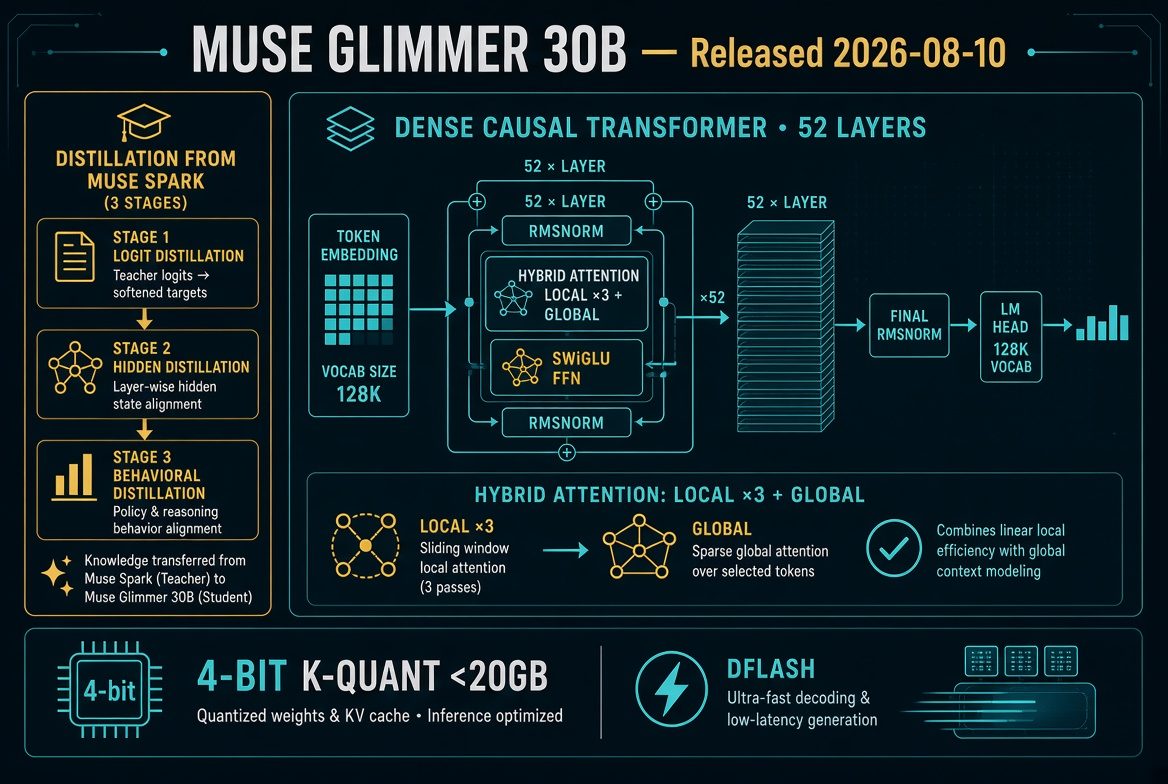 Muse Glimmer 30B Architecture and Distillation diagram